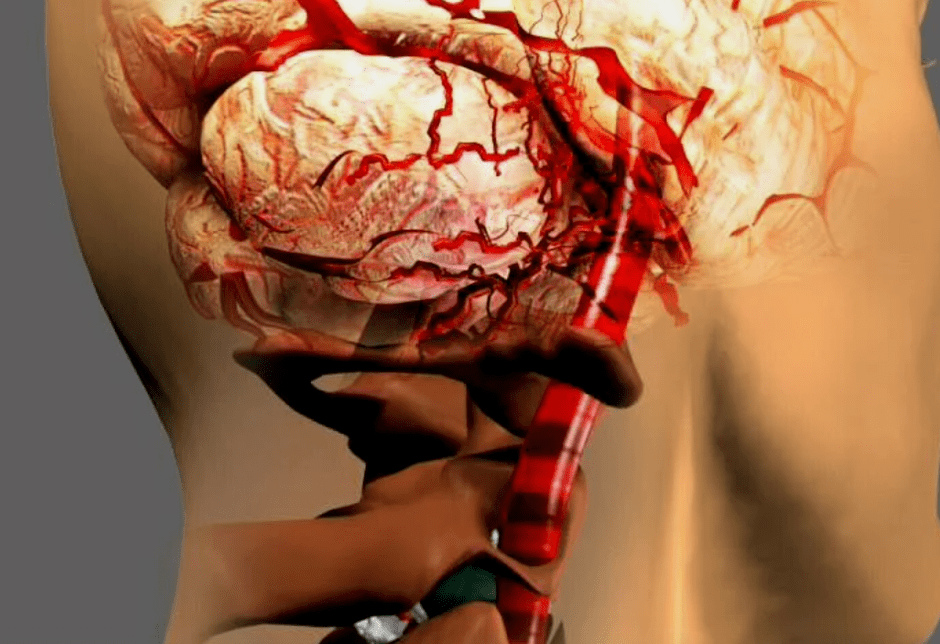 of harmful cervical osteochondrosis